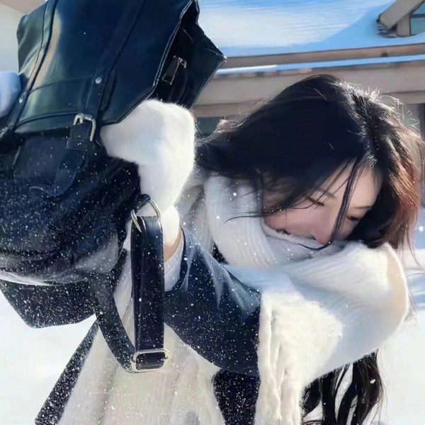 双凤奇案