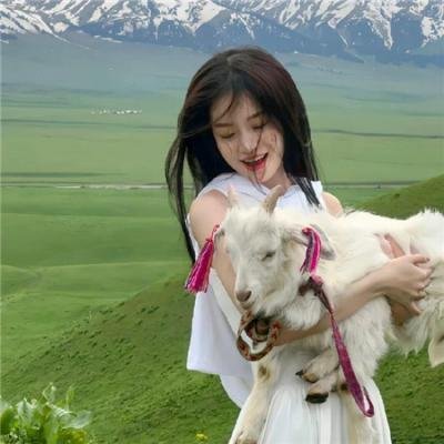 铁证悬案第一季
