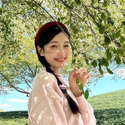 寻找特洛伊